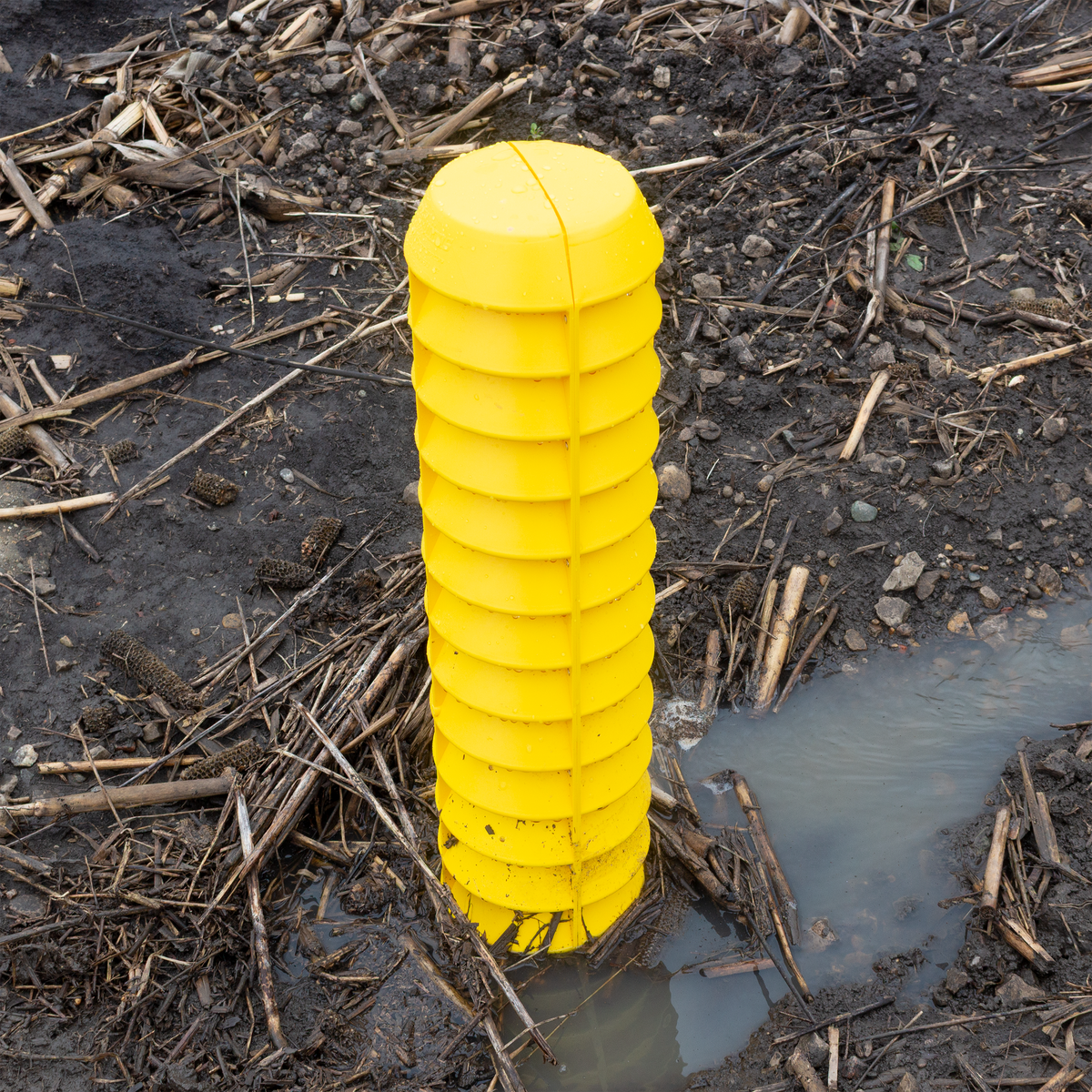 Quick Drain 6" Riser Standard
